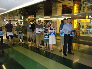 Sauvegarde des requins et des raies avec le club de Plongée Asie Padi/Cmas/Adip 5* IDC