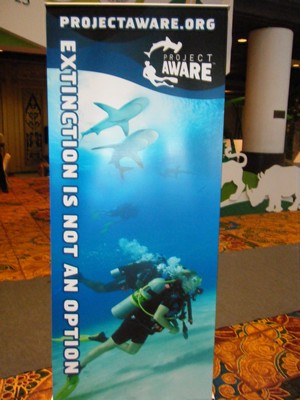 Sauvegarde des requins et des raies avec le club de Plongée Asie Padi/Cmas/Adip 5* IDC
