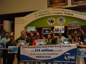 Sauvegarde des requins et des raies avec le club de Plongée Asie Padi/Cmas/Adip 5* IDC Sauvegarde des requins et des raies avec le club de Plongée Asie Padi/Cmas/Adip 5* IDC