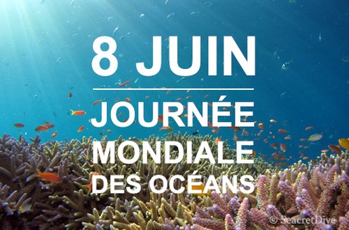 la journée mondiale des océans le 8 juin la journée mondiale des océans le 8 juin